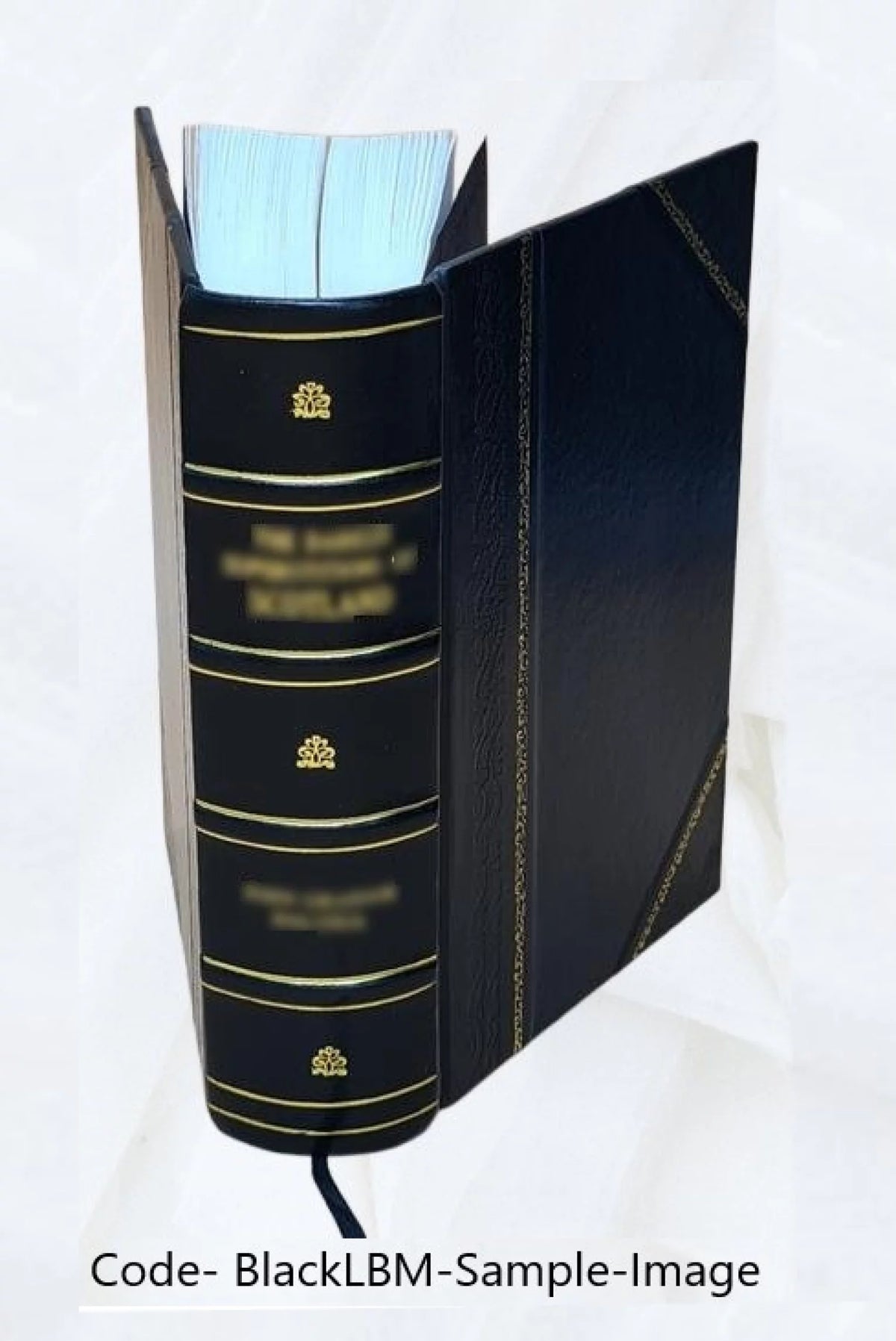 Leather Bound Book D713