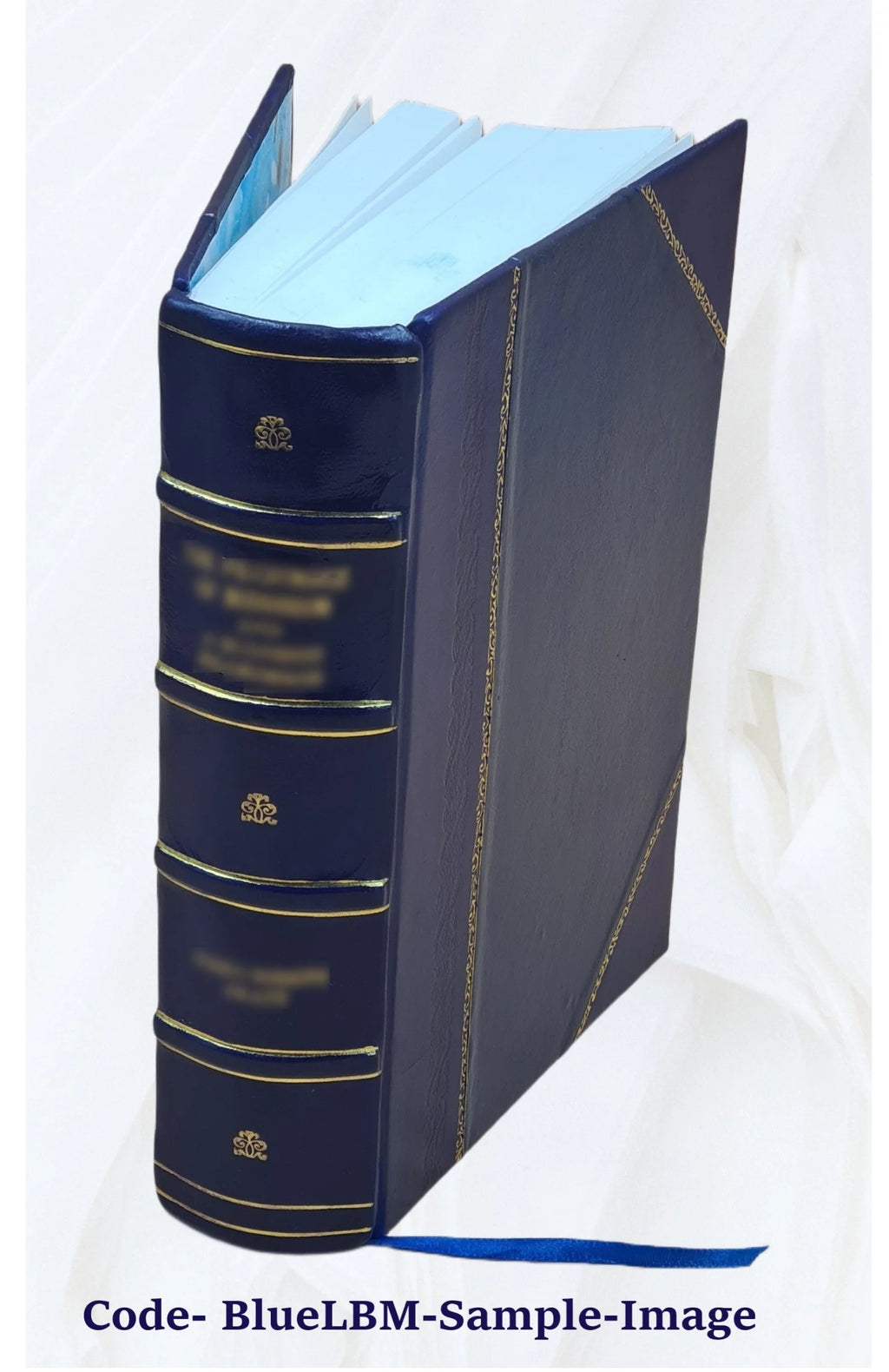 Leather Bound Book D713