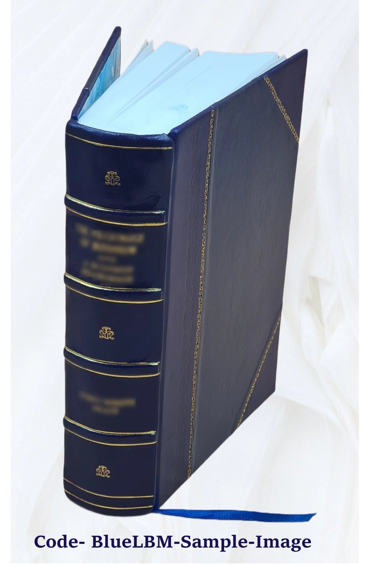 Leather Bound Book D713