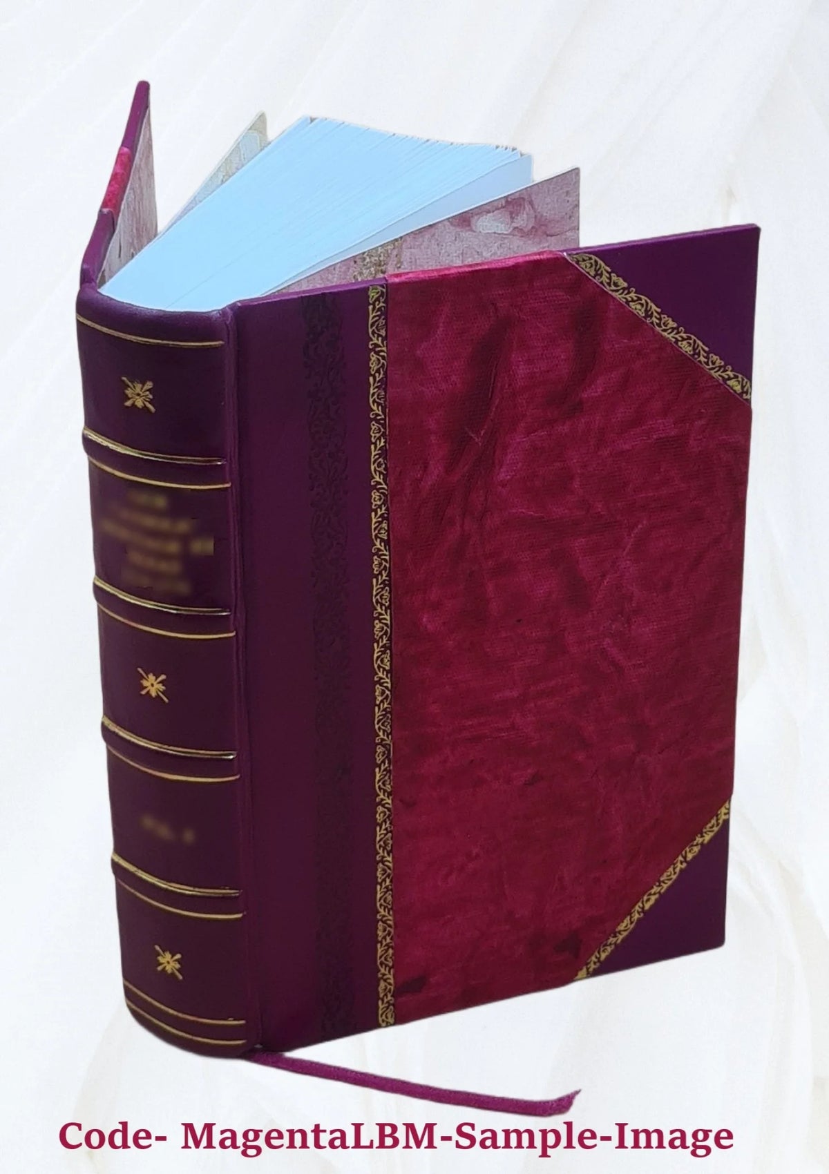 Leather Bound Book D713