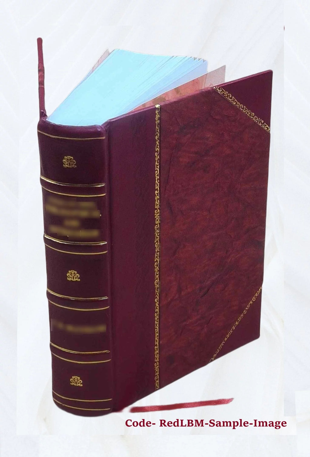 Leather Bound Book D713