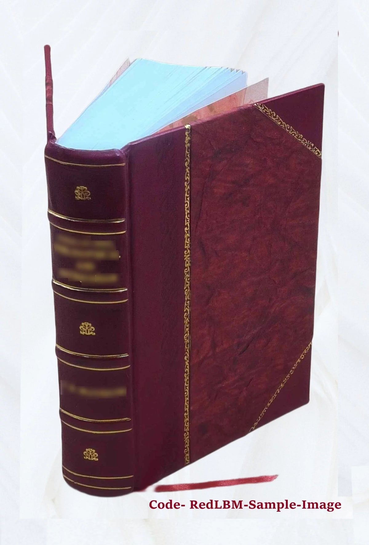 Leather Bound Book D713