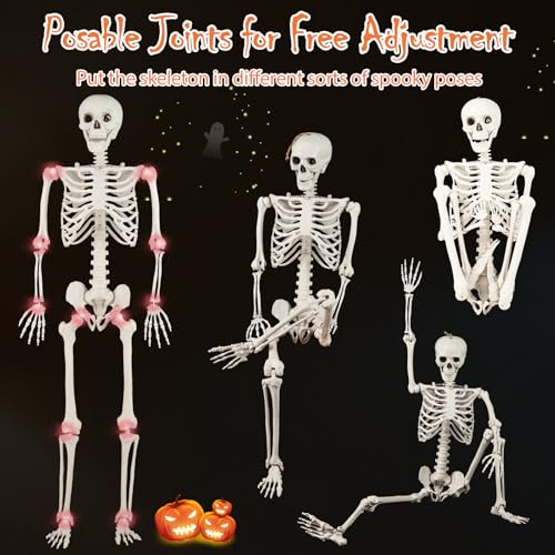 5.4 FT Life Size Posable Skeleton with Movable Joints Z167140