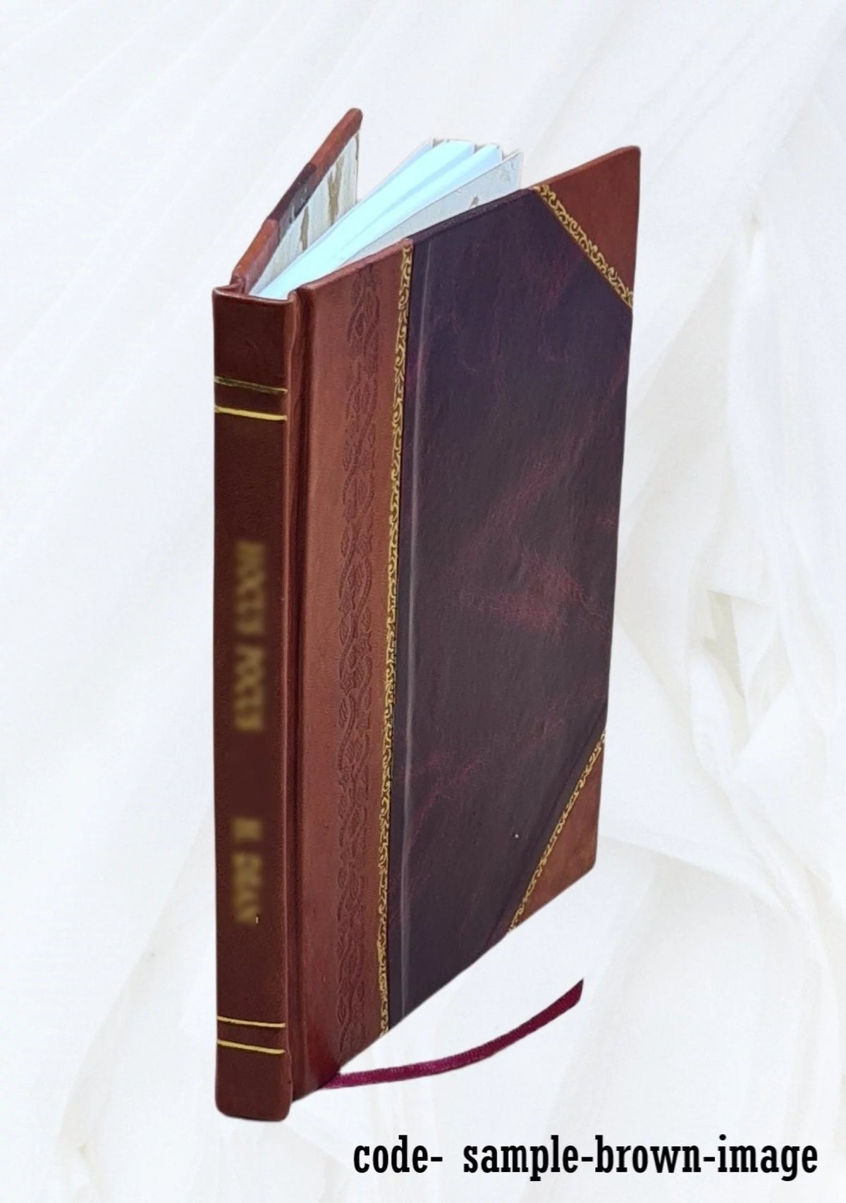 19th Century Europe Leather Bound M719