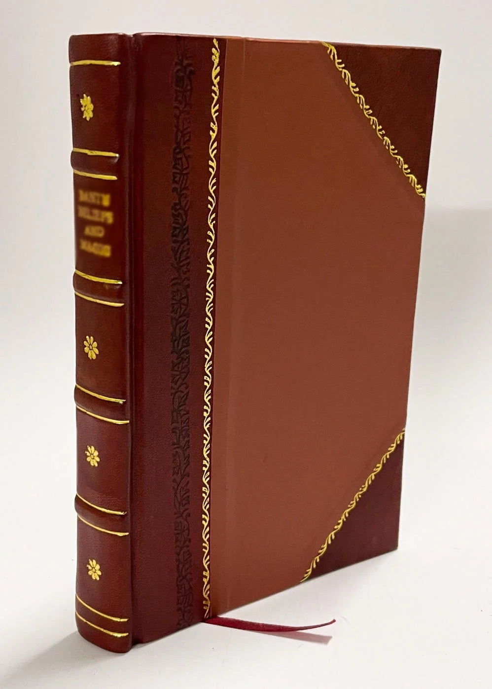 Living London Its Work and Its Play Its Humour and Its Pathos Its Sights and Its Scenes Volume 1 Leather Bound D8496