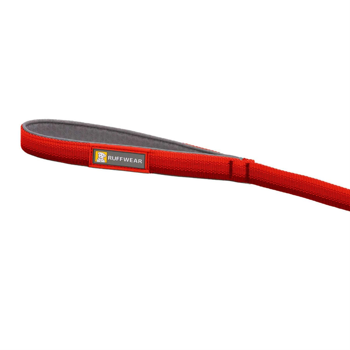 Leash Z930285