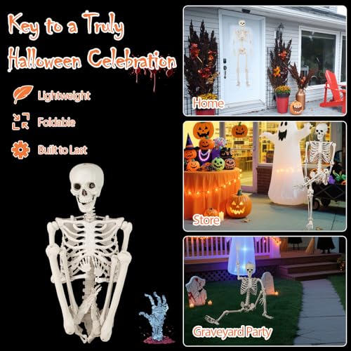 5.4 FT Life Size Posable Skeleton with Movable Joints Z167140
