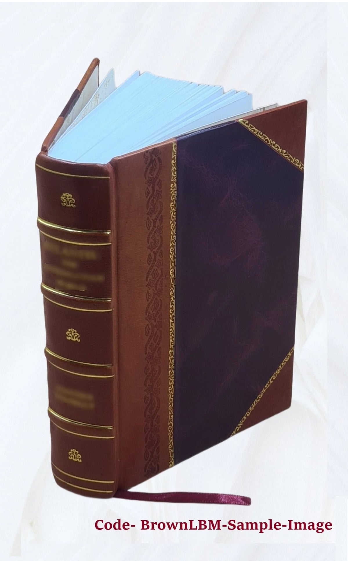 Leather Bound Book D713