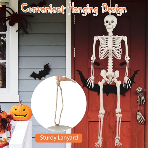 5.4 FT Life Size Posable Skeleton with Movable Joints Z167140